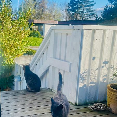 Cool Familyhome Close To The Beach W Two Cuddly Cats Espergærde Exterior foto